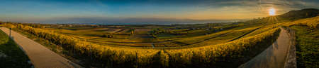 Panorama of vineyards and Geneva lake close to Aubonne in Switzerlandの写真素材