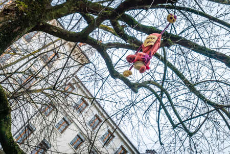 Cuddly toy lost in a tree as an allegory of a lost broken childhoodの写真素材