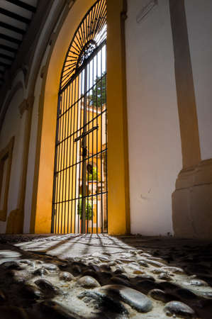 Game of shadows close to a door of the Alcazar in Sevilla in Spainのeditorial素材