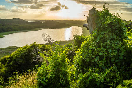 Tower hill lake at sunset in the summer in Australiaの写真素材
