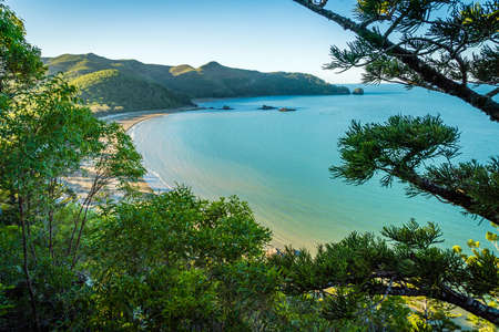 Stunning view of Cape Hillsborough national park in the summer, Australia,