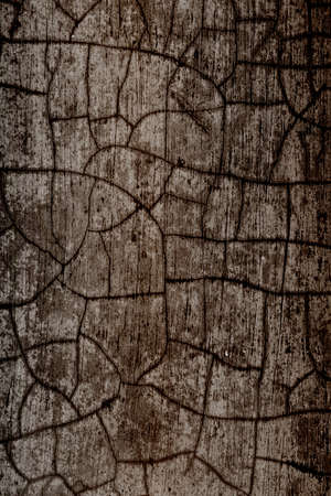 Background of the old walls with dark brown shades の写真素材