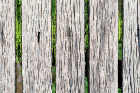 Gray wooden boardwalk weathered with rough textured and mossの写真素材