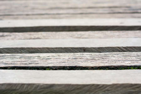 Gray wooden boardwalk weathered with rough textured and mossの写真素材