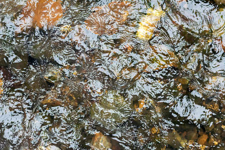 Background of water and stoneの写真素材