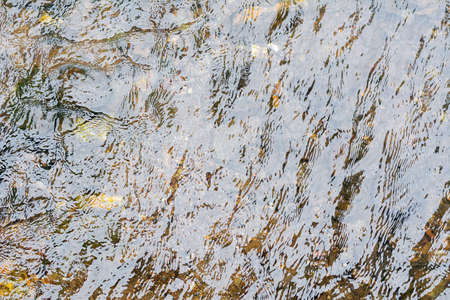 surface of the waterの写真素材