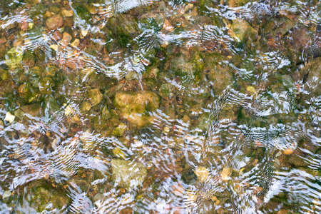 Background of water and stone with moss