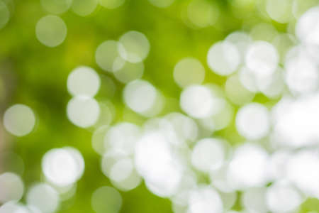 Natural bokeh, green bokeh.の写真素材