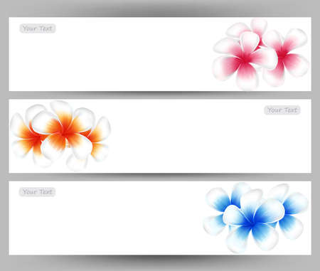 illustration vector of Hawaii flower Frangipani, colorful Plumeria on white background  brochure template.のイラスト素材