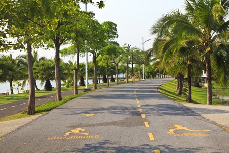 Parkの写真素材