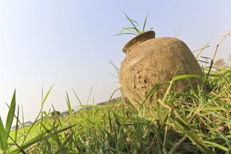 planter pot on a field の写真素材