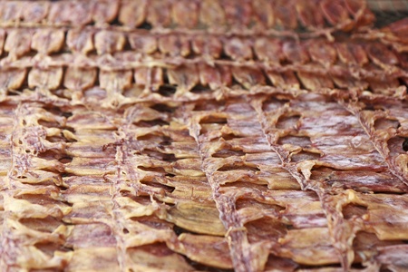 Dried squid in thailand の写真素材