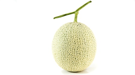 Melon isolated on white background の写真素材