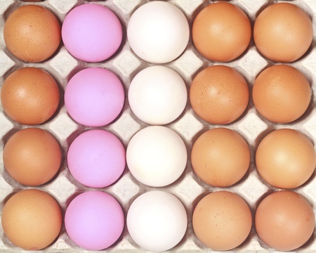 Lot of colorful eggs in a row on a tray.