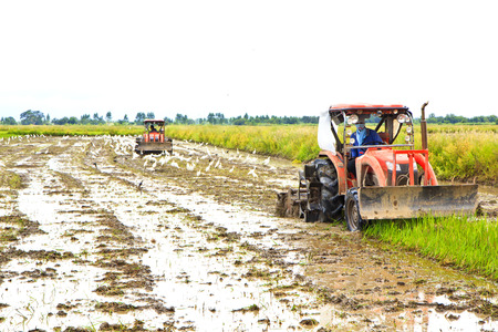 agriculture, two tractors working on a field.の写真素材