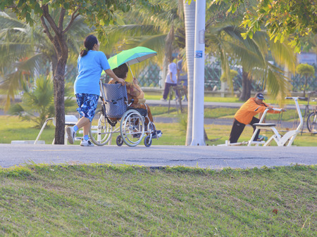 Woman pushing senior patient on wheelchair outdoors for exercise.のeditorial素材