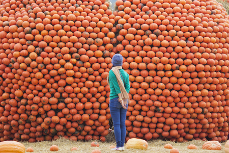 Woman looking a stack  pumpkins at outdoor marketの写真素材