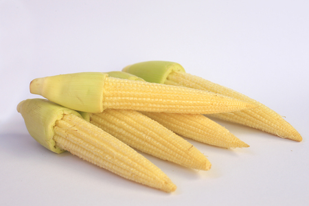 Young small corn on white background.の写真素材