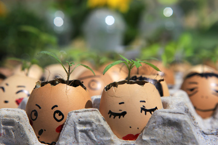 A little plant grows in an egg.の写真素材