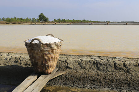 salt in the basket  at rural area of Thailand.