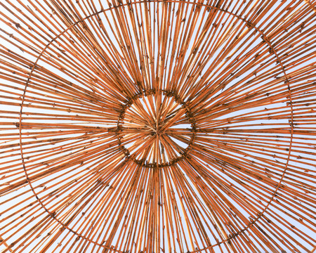 Bamboo with blue skies background.の写真素材