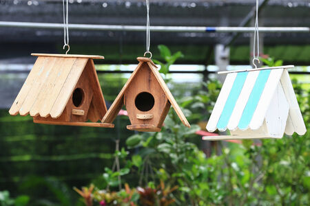 Bird house in the spring garden.