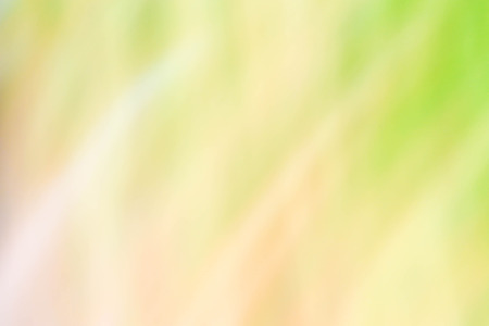 focused abstract texture background for your design. Color background. Natural background