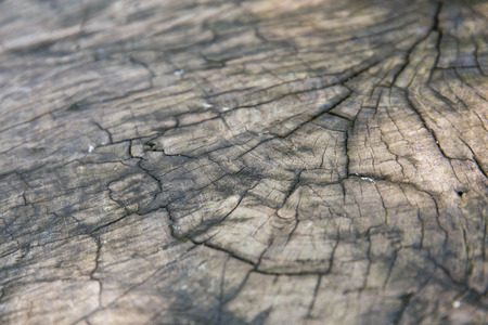 Old wood background ,soft focusの写真素材