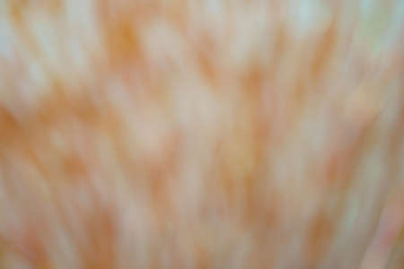 mixed colorful abstract for background.の写真素材