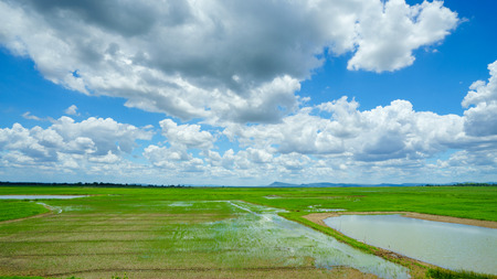 field on a background of the blue sky.
