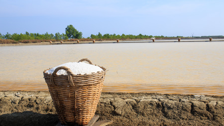 Sea salt in the bamboo basket on salt farm..の写真素材