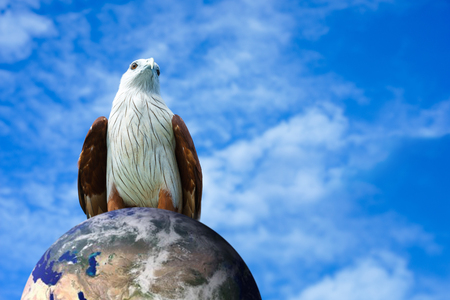 Eagle over the earth with blue sky background.の写真素材
