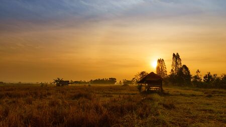 Hut made of bamboo planted in rice feild, Thailand.の写真素材
