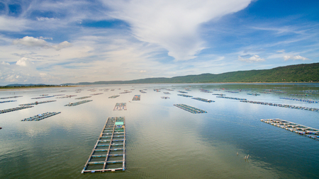 Aerial view ,fish coop, Fish cages ,Khonkean, Thailandの写真素材