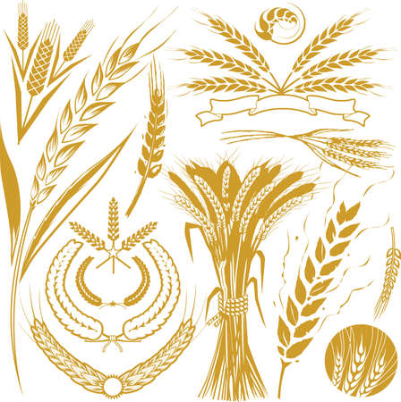 Wheat Collectionのイラスト素材