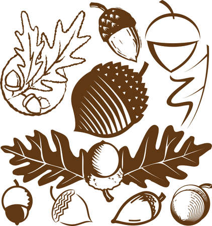 Acorn Collectionのイラスト素材