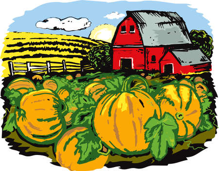 Pumpkin Farmのイラスト素材