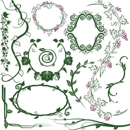 Vine Collectionのイラスト素材