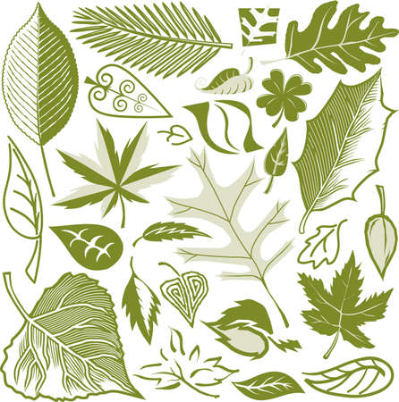 Leaf Collectionのイラスト素材