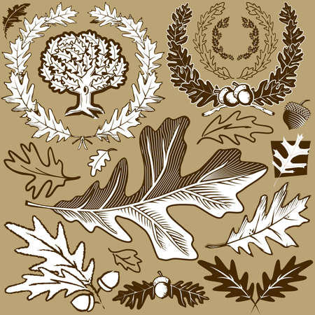 Oak Leaf Collectionのイラスト素材