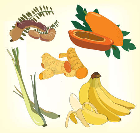 Fruit elements, herbのイラスト素材