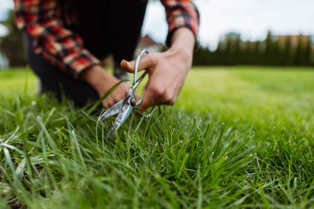 Woman gardener cutting the grass with scissors. Garden care conceptの写真素材