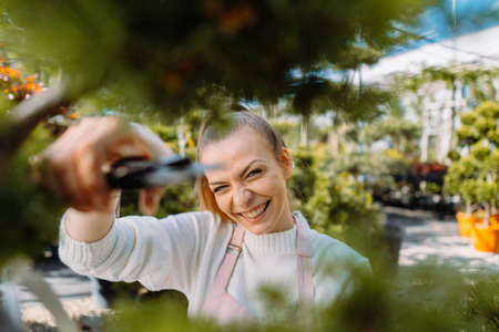 Smiling young female gardener is pruning green bush. Gardening tools conceptの写真素材