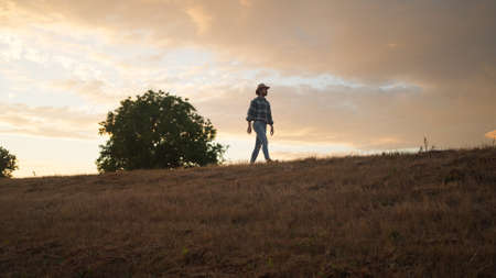 Farmer in hat in young field examining cropの写真素材