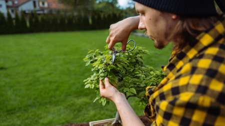 Young cute man gardening and cutting a little bush outside in the garden as a professional.の写真素材