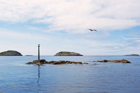 Seagulls on a stone in the Norwegian seaの写真素材