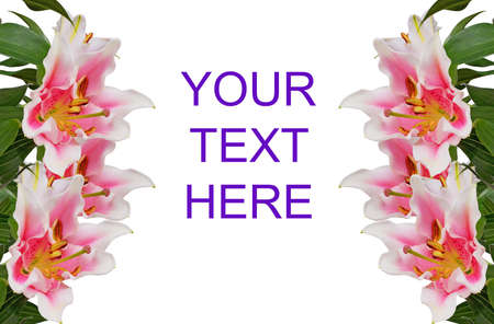 Card with flowers orchid の写真素材