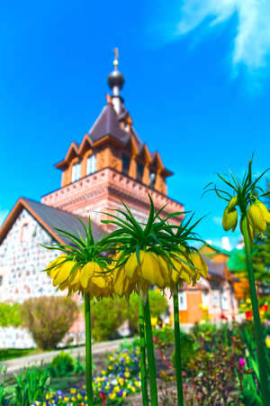 Spring blooming flowers against the background of the brick Orthodox Churchの写真素材