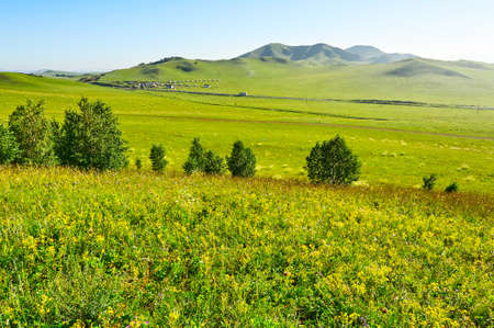 Summer prairie scenery.の写真素材