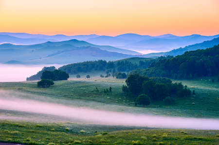 Summer prairie scenery.の写真素材